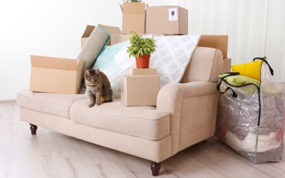 What should I do with all of my stuff when I downsize?